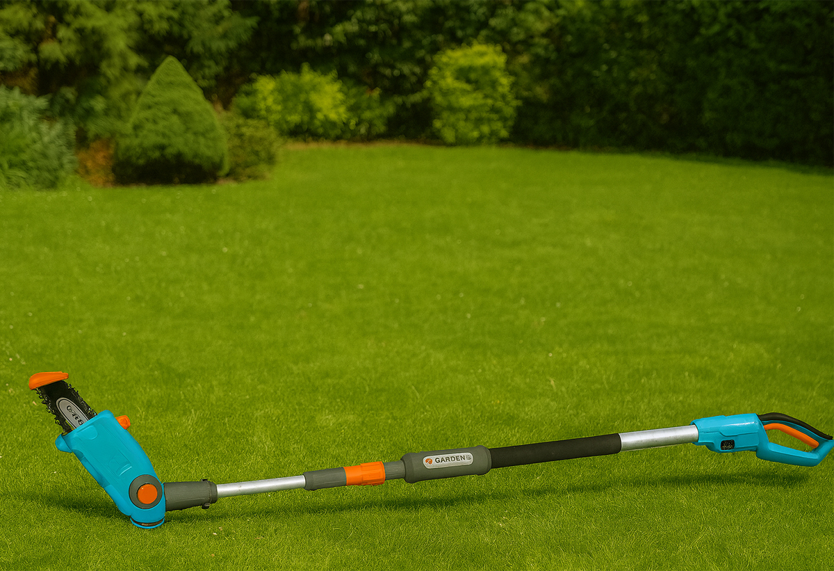 Απεικονίζεται το κονταροπρίονο 